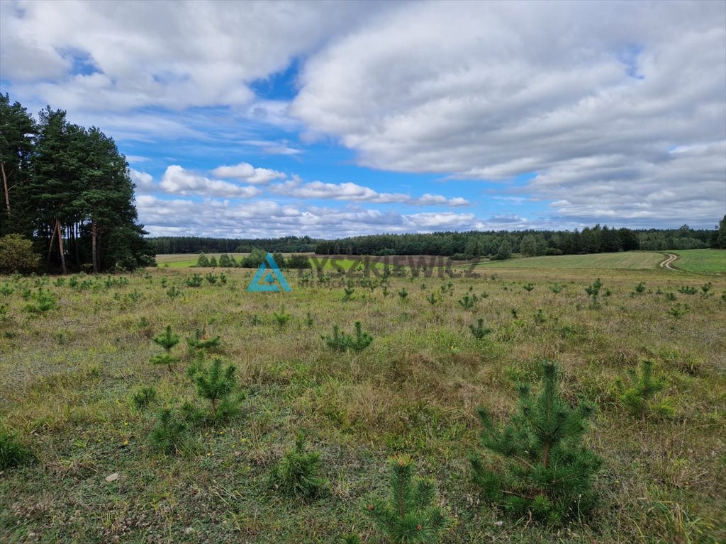 Działka rolna na sprzedaż Skorzewo  53 000m2 Foto 4