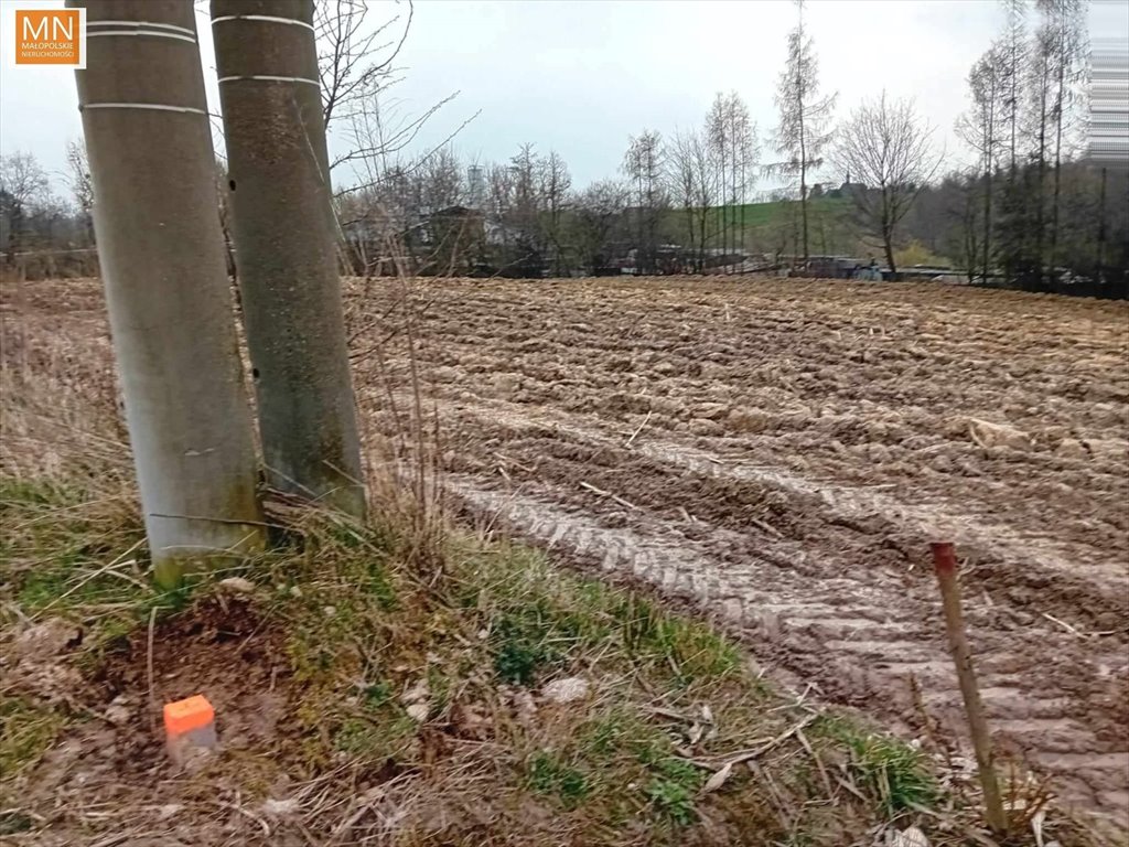 Zdjęcie 8