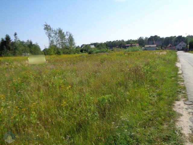Do sprzedania działka 1,53 ha pod zabudowę w Małocicach Małocice  15 300m2 Foto 1