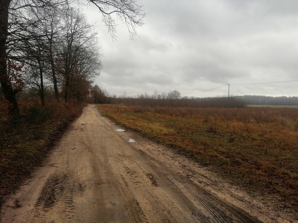 Działka 1,34 ha pod zabudowę, las, blisko morza Łęgno  13 400m2 Foto 1