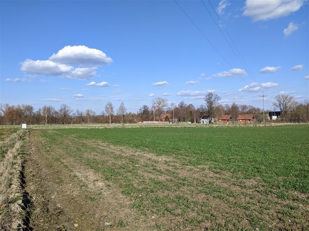 Działka budowlana na sprzedaż Wolimierz  3 000m2 Foto 4