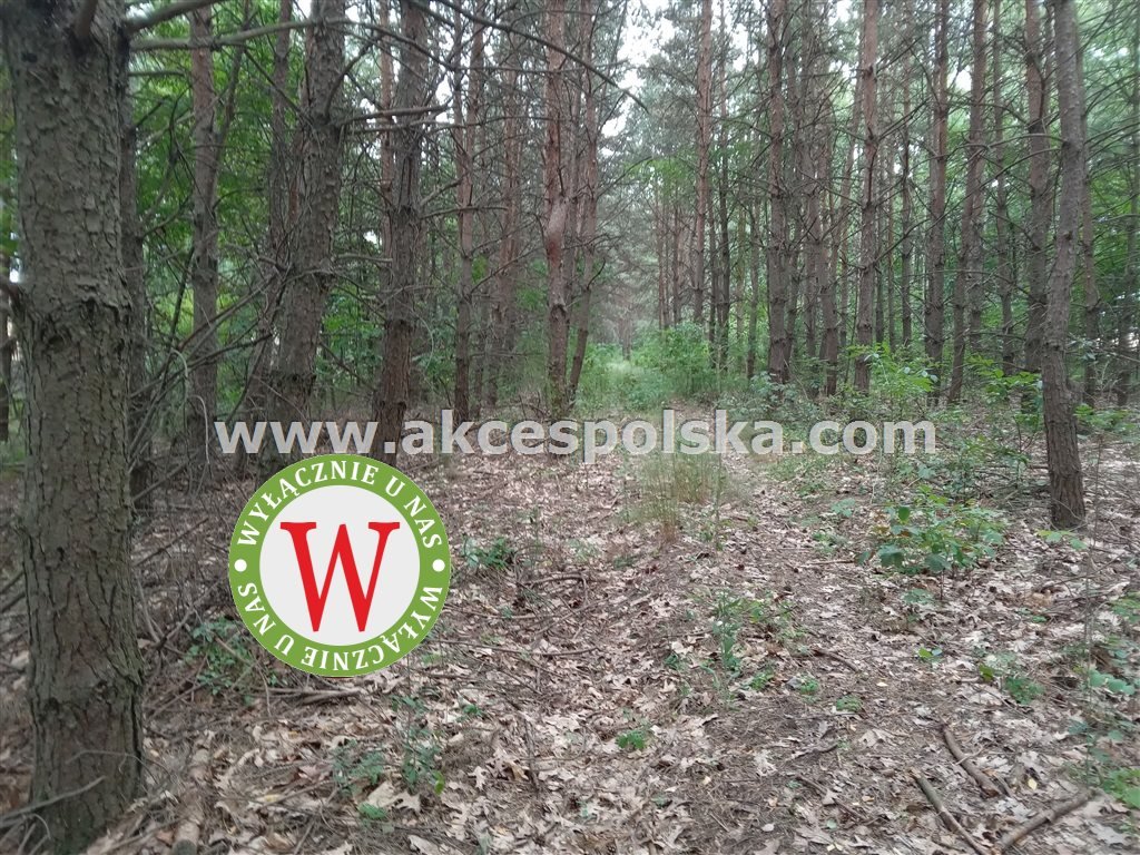 Działka inwestycyjna na sprzedaż Konopnica, Konopnica  53 400m2 Foto 4