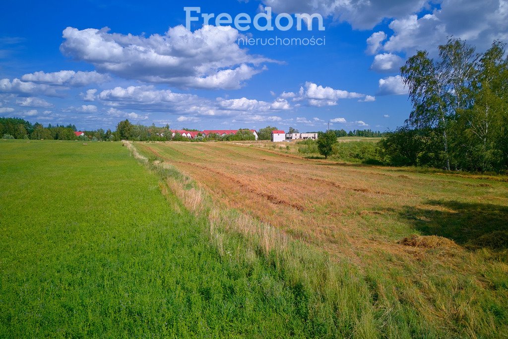 Działka komercyjna na sprzedaż Jora Wielka  7 950m2 Foto 12