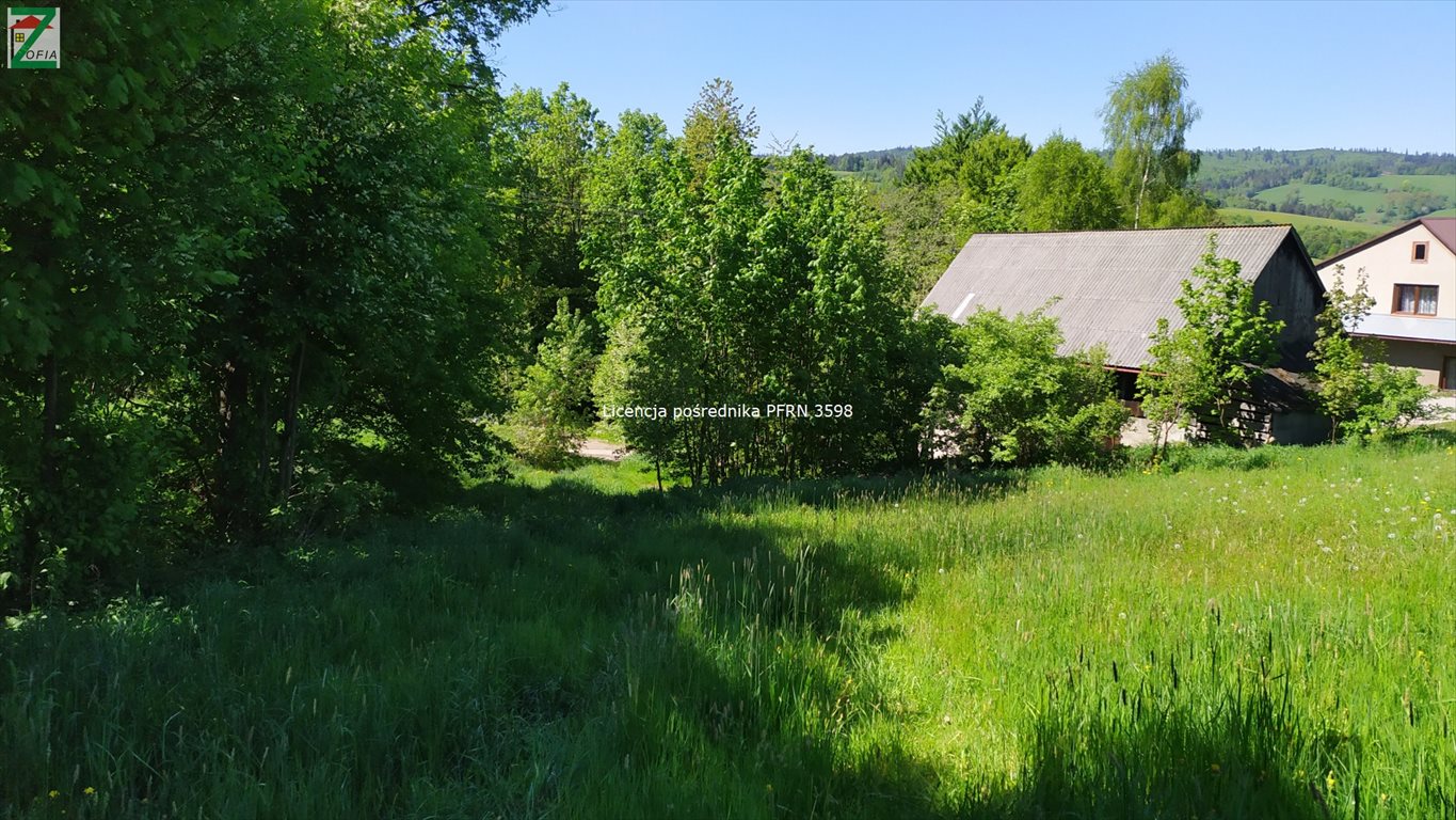 Działka budowlana na sprzedaż RABA-WYŻNA  1 200m2 Foto 2