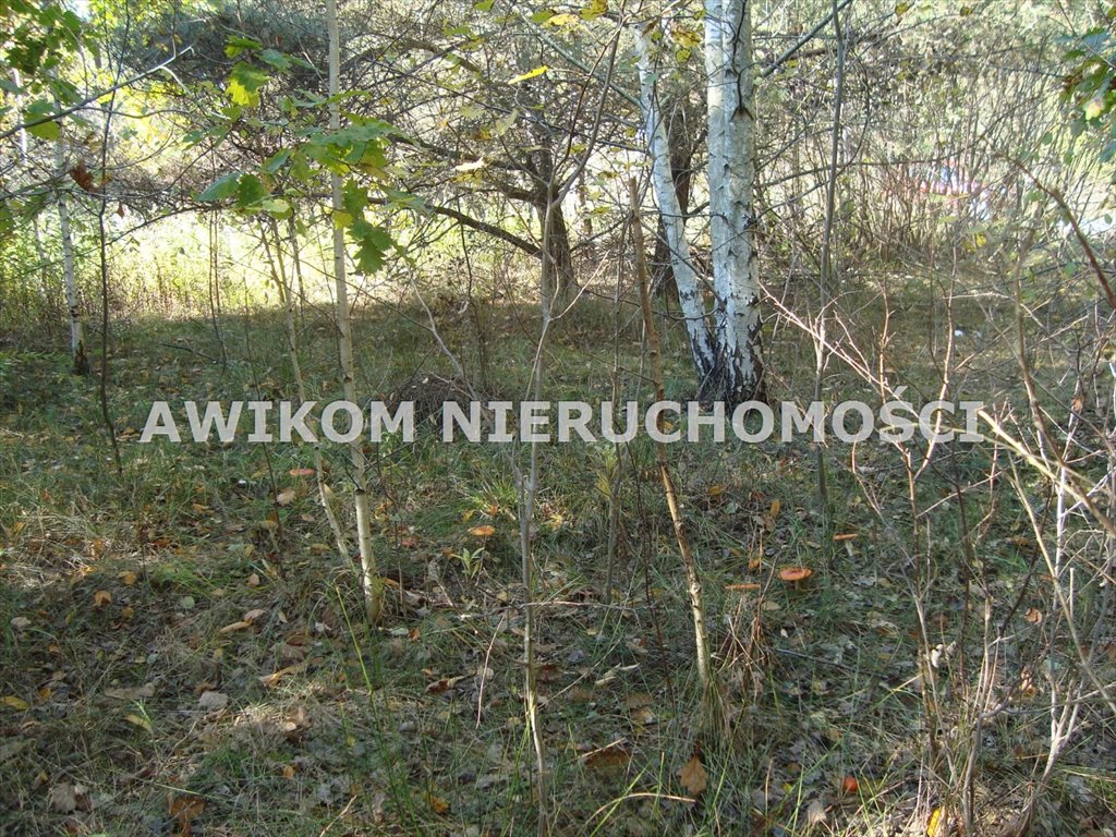 Działka budowlana na sprzedaż Żelechów  3 790m2 Foto 8