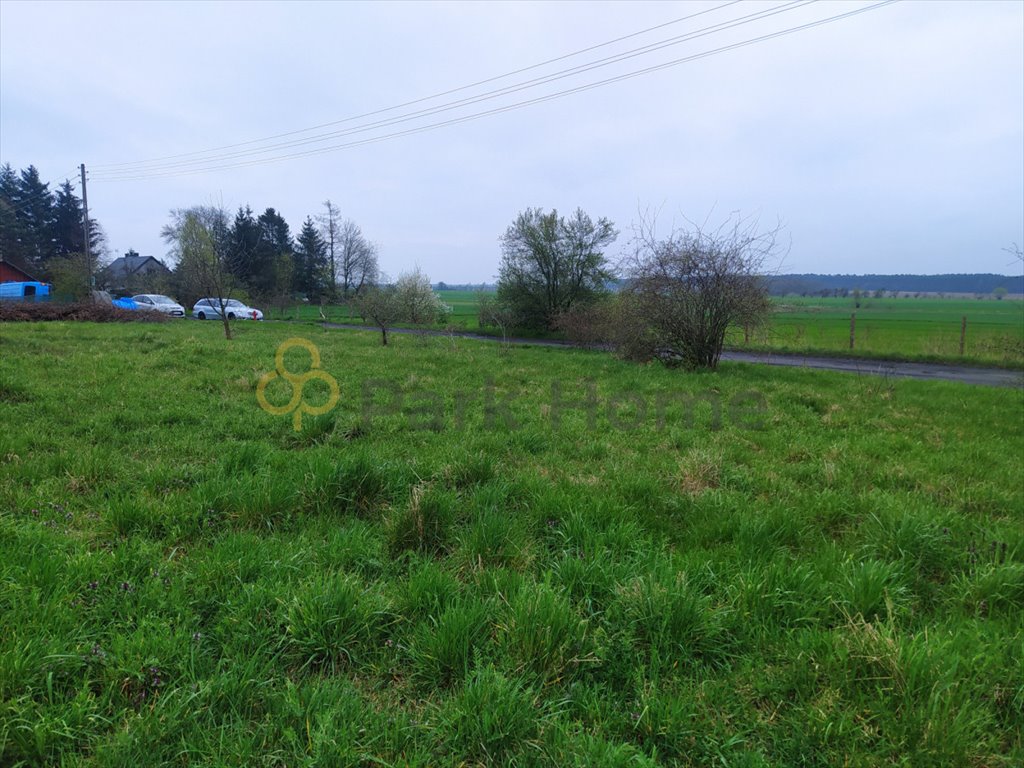 Działka budowlana na sprzedaż Krążkowo  2 446m2 Foto 1