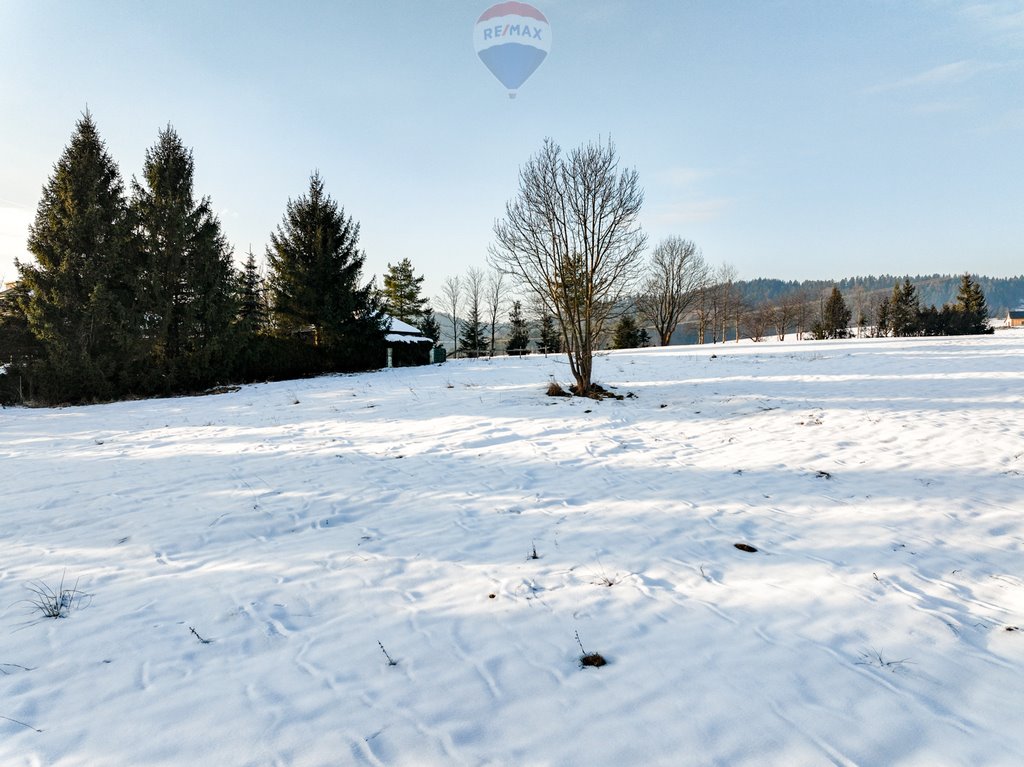 Działka budowlana na sprzedaż Rabka-Zdrój, Zaryte, Zaryte  1 083m2 Foto 6