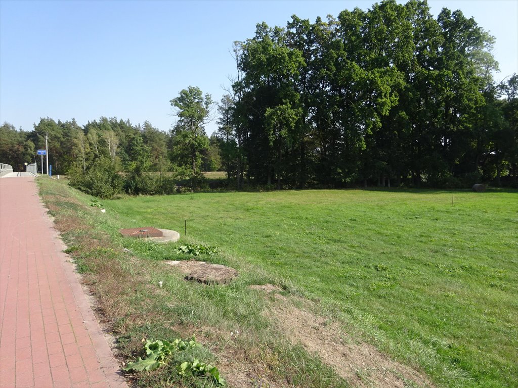 Działka budowlana na sprzedaż Drężewo  1 400m2 Foto 4