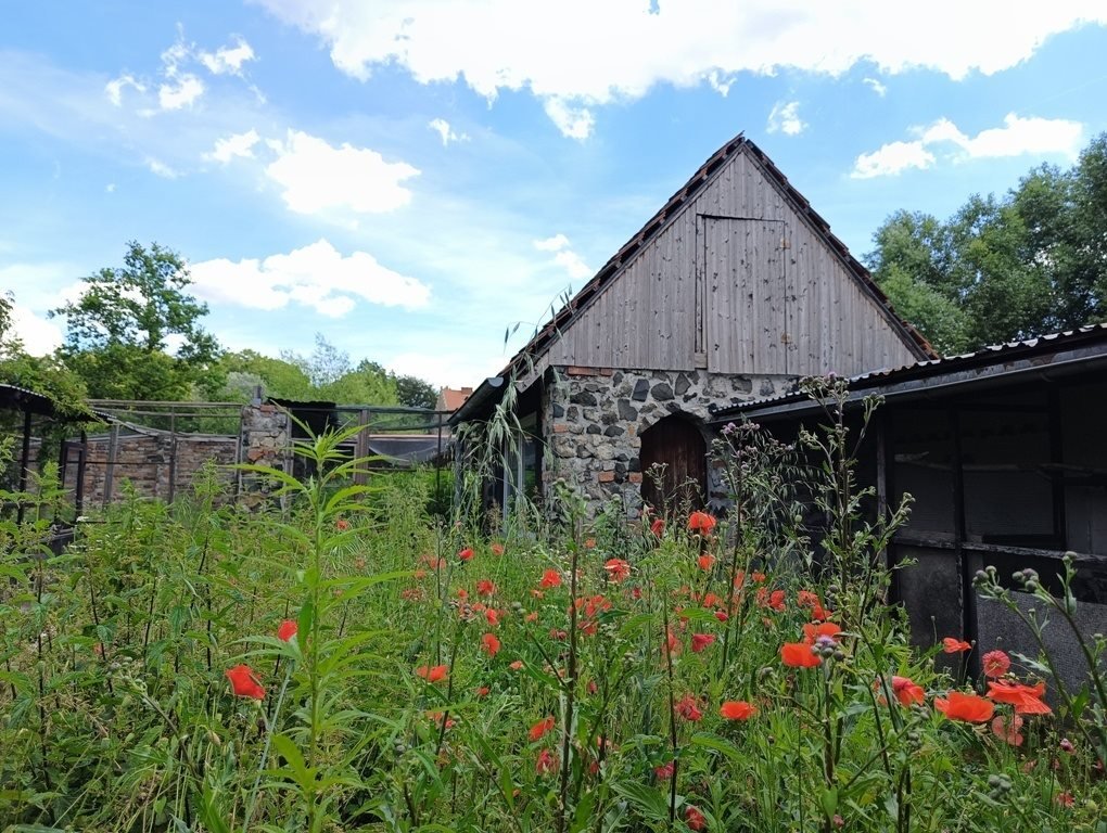 Działka budowlana na sprzedaż Kunów  126 800m2 Foto 15