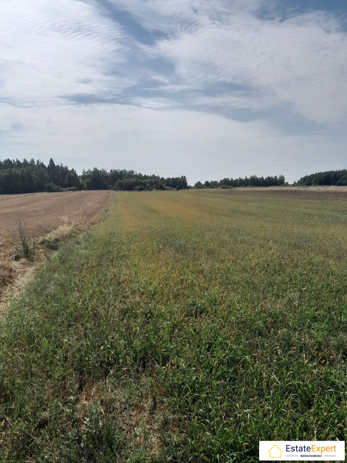 Działka budowlana na sprzedaż Skrzelczyce, Skrzelczyce  8 100m2 Foto 4