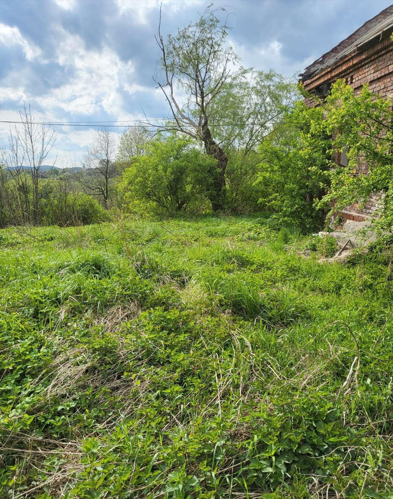 Działka budowlana na sprzedaż Kaszów  5 000m2 Foto 7