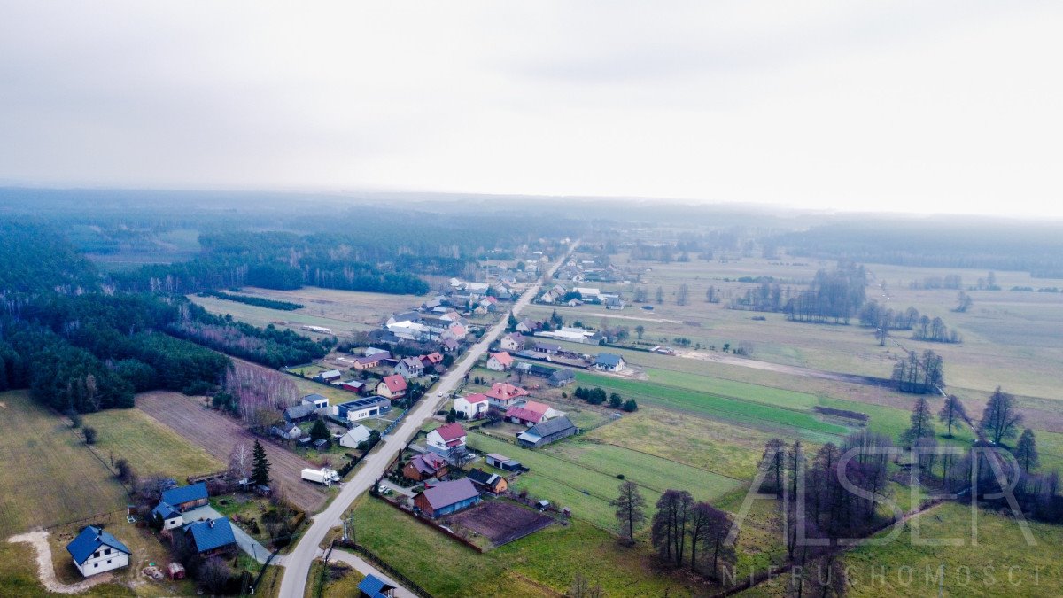 Działka rolna na sprzedaż Laskowizna  15 000m2 Foto 8