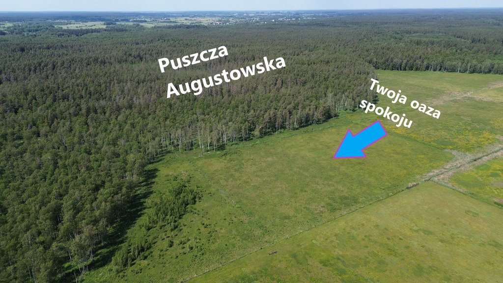 Działka rolna na sprzedaż Augustów  20 000m2 Foto 3