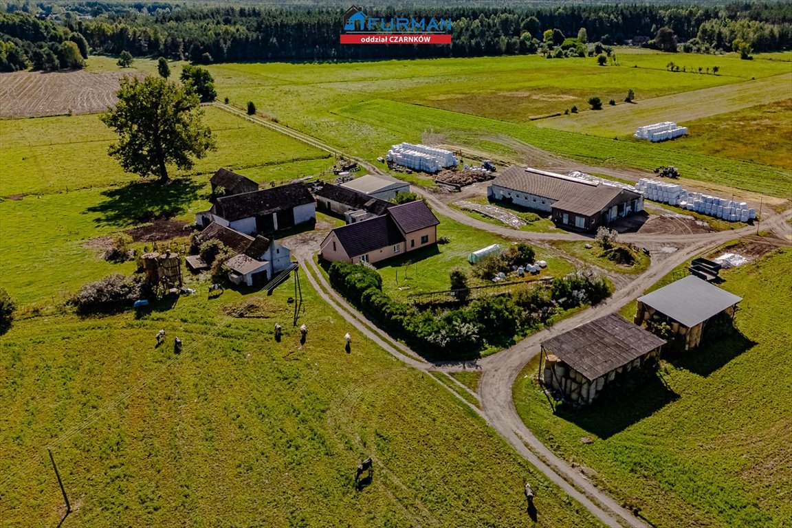 Gospodarstwo mleczne 22,79 ha z nową oborą i fotowoltaiką Wrzeszczyna  1 500m2 Foto 1