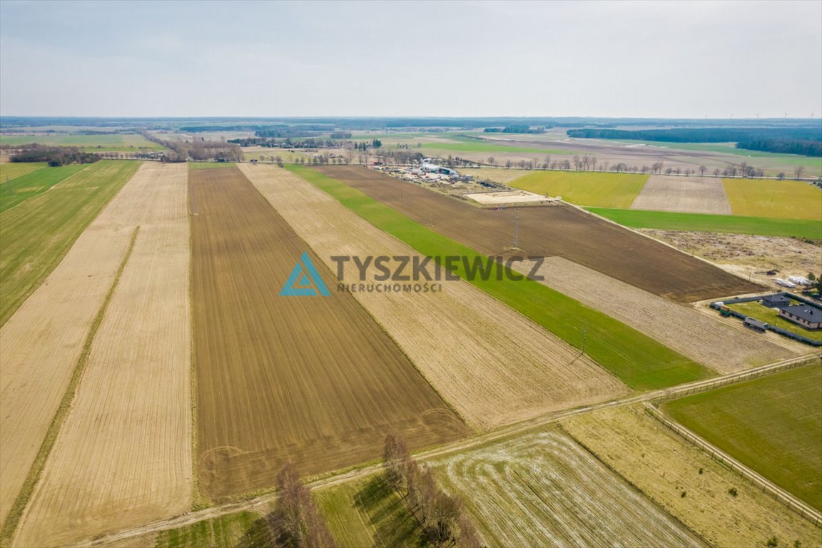 Działka rolna na sprzedaż Stara Dąbrowa  60 000m2 Foto 3