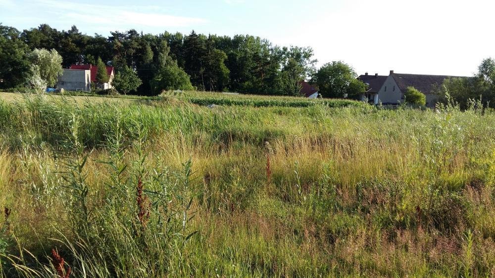 Działka inna na sprzedaż Grzebienisko, Jodłowa  3 830m2 Foto 3