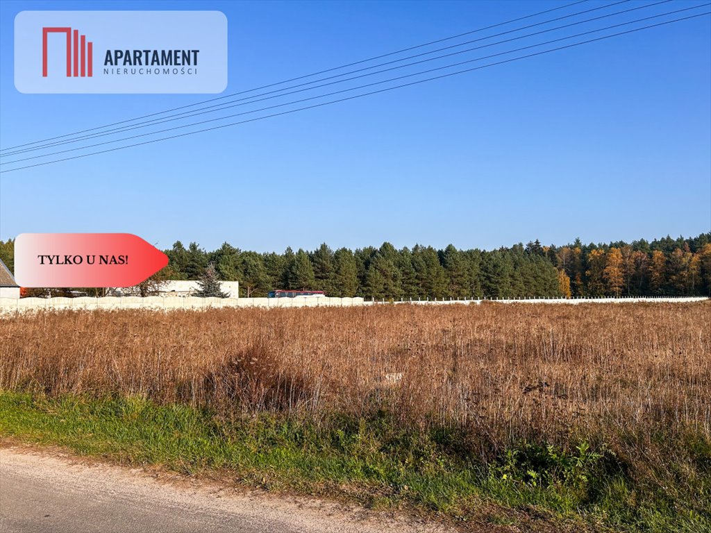 Działka gospodarstwo rolne na sprzedaż Wałdowo Królewskie, Zacisze  3 637m2 Foto 2