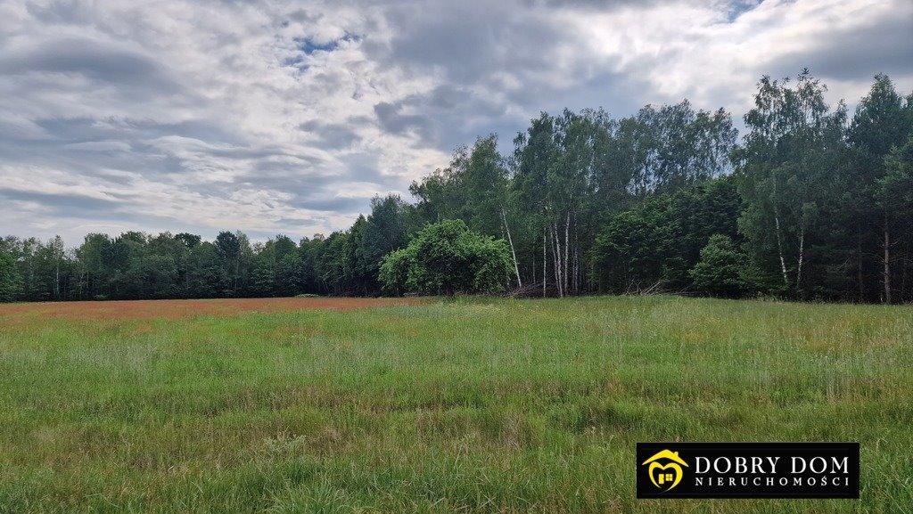 Działka 4184 m² z mediami i WZ - polecam Pokaniewo-Kolonia  4 184m2 Foto 1