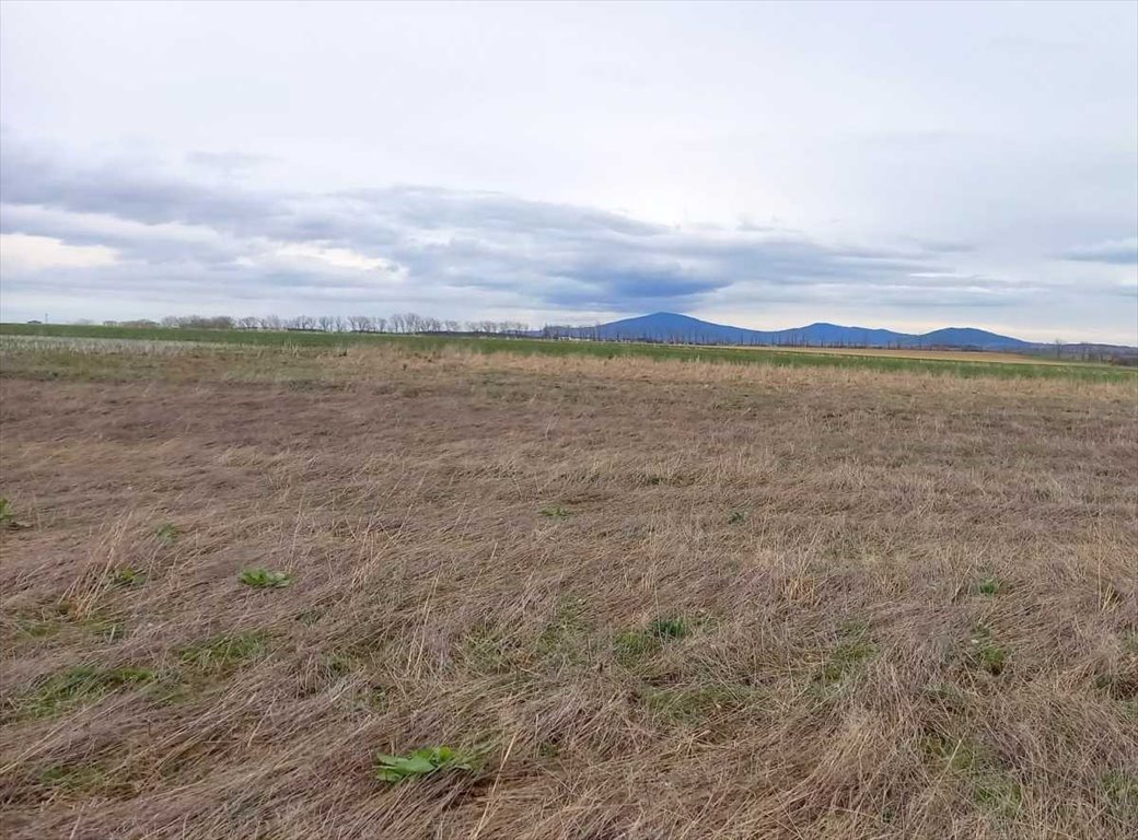 Działka inna na sprzedaż Świdnica, Witoszów Dolny  1 500m2 Foto 3