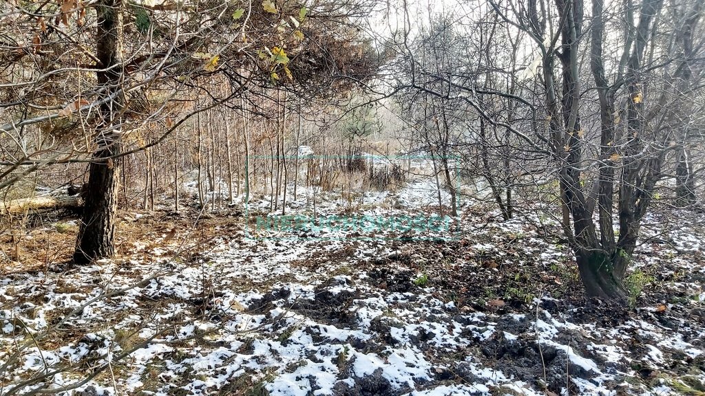 Działka leśna z prawem budowy na sprzedaż Kajetany  1 541m2 Foto 2