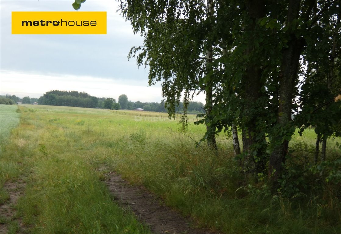 Działka inna na sprzedaż Nowa Mała Wieś  1 000m2 Foto 1