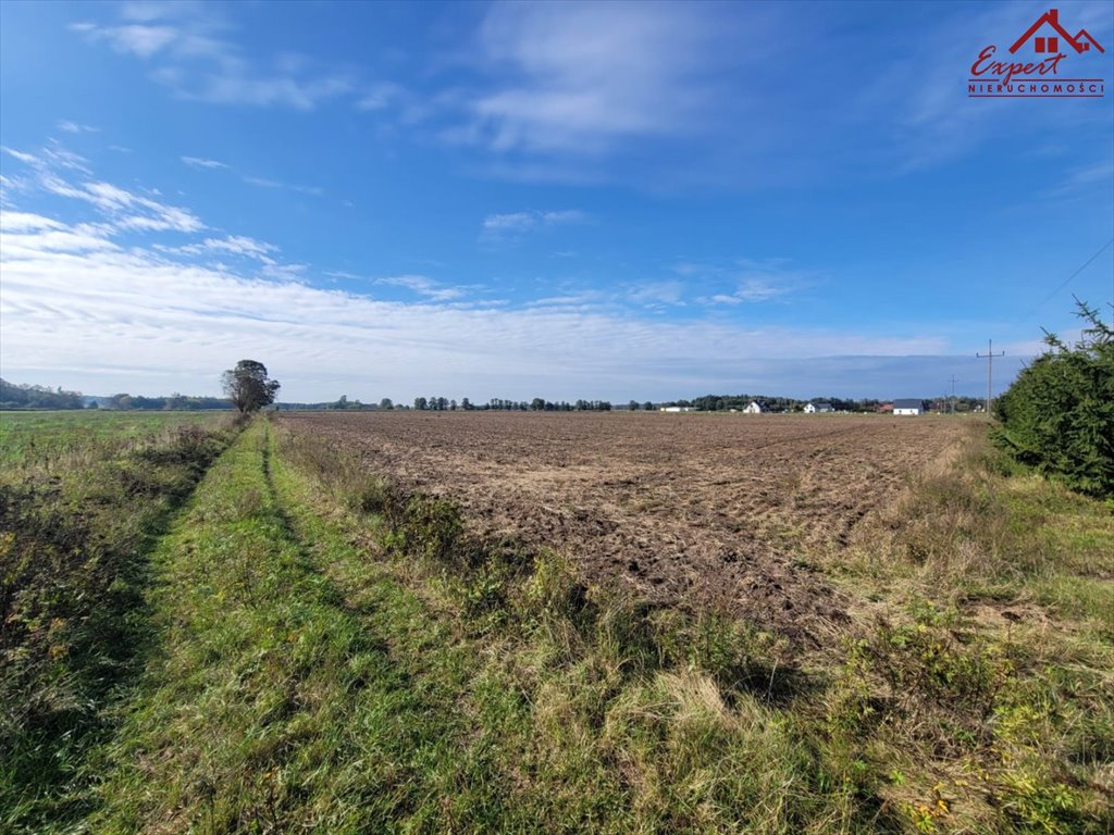 Działka inna na sprzedaż Samborowo  32 700m2 Foto 6