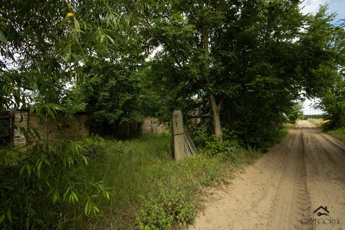 Działka rolna na sprzedaż Downary  1 600m2 Foto 8