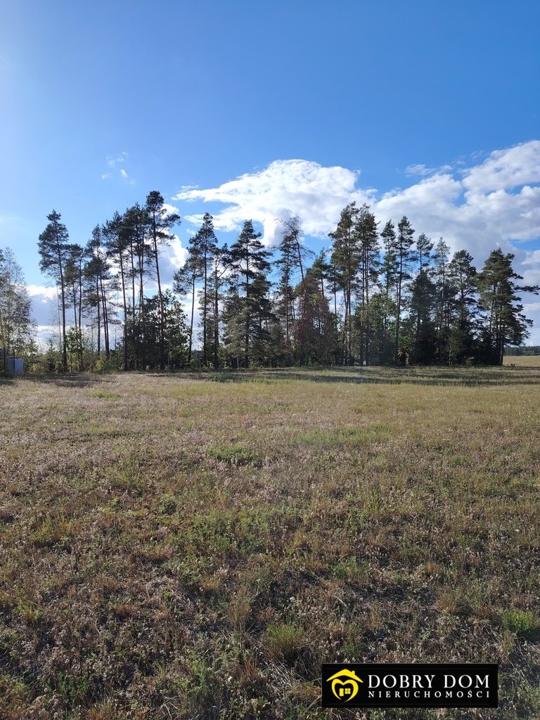 Działka budowlana na sprzedaż Danowskie  1 000m2 Foto 5