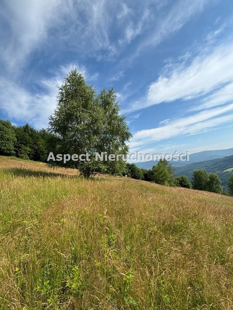 Działka inwestycyjna na sprzedaż Brenna  25 399m2 Foto 5