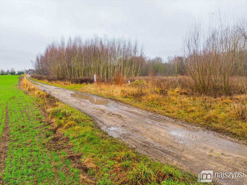 Działka rolna na sprzedaż Żółwia Błoć, Wieś  23 800m2 Foto 6