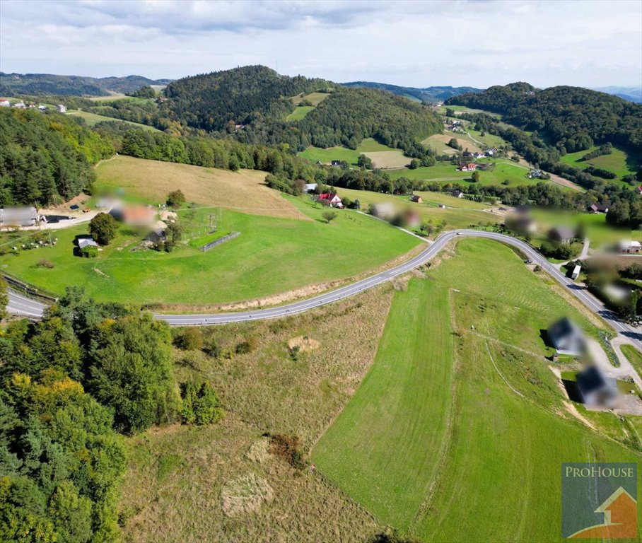 Działka budowlana na sprzedaż Laskowa  2 700m2 Foto 3