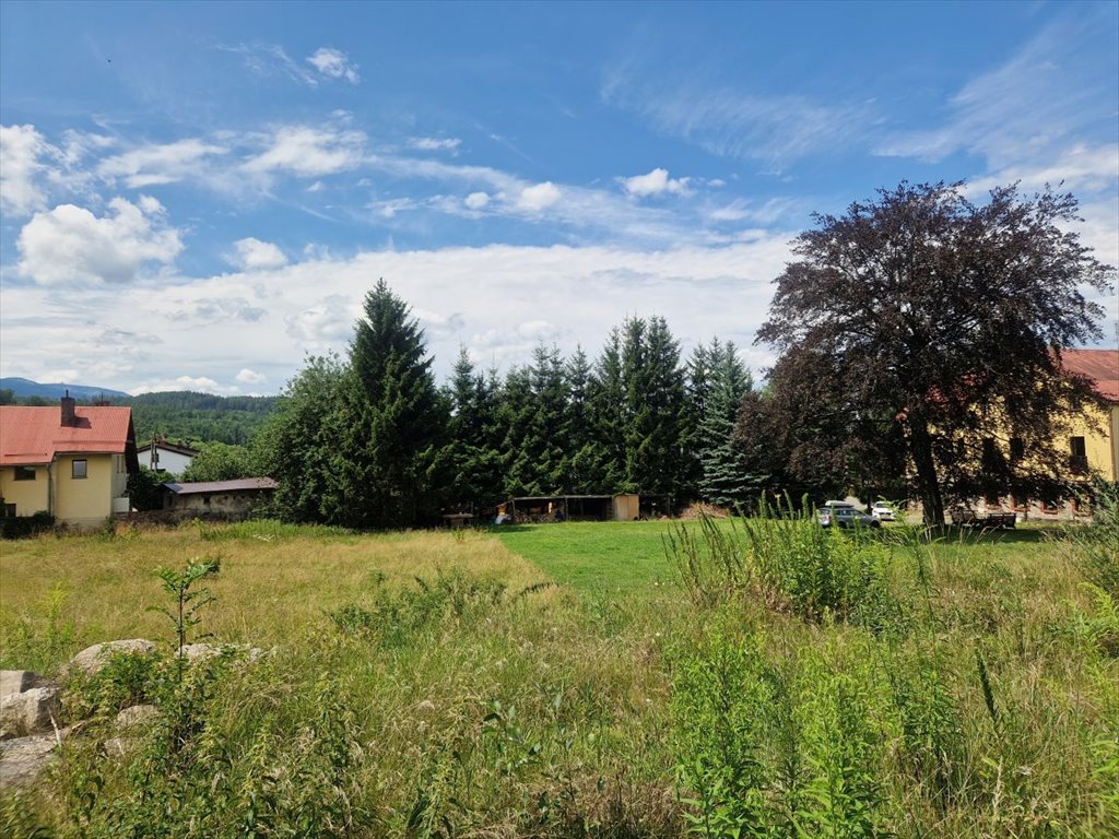 Działka przemysłowo-handlowa na sprzedaż Sosnówka  1 000m2 Foto 4