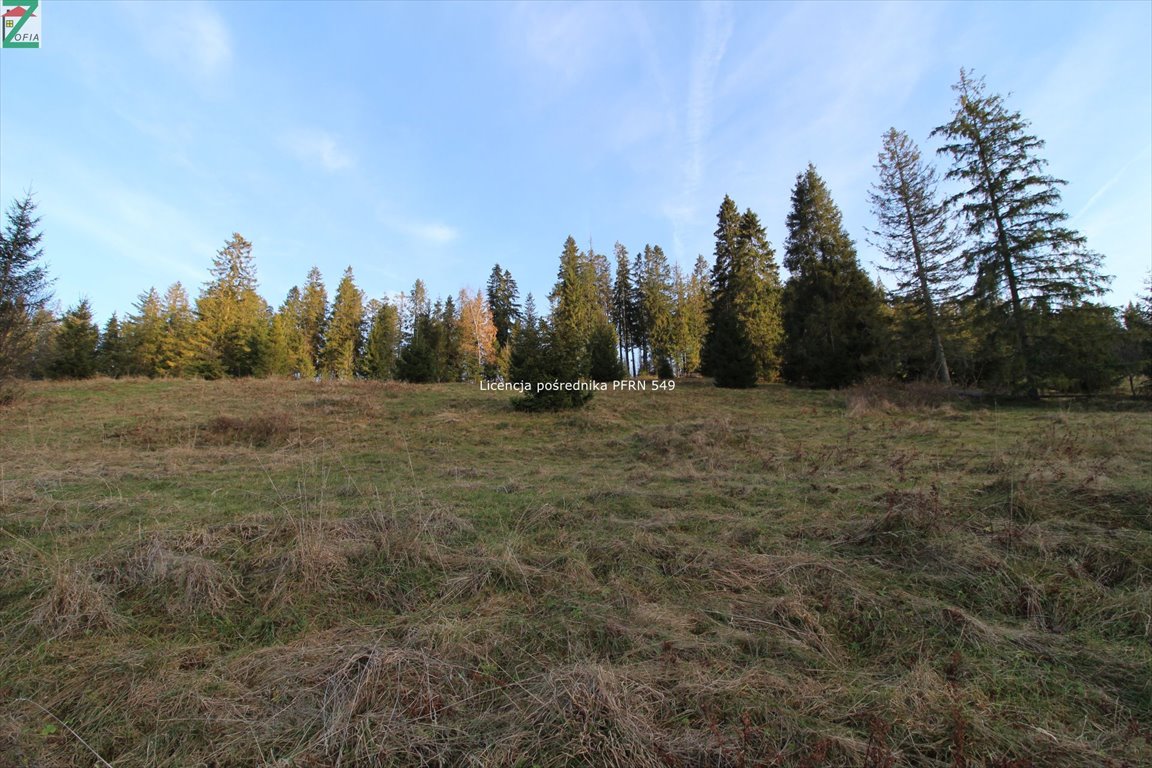 Działka rolna na sprzedaż BRZEGI  4 290m2 Foto 1