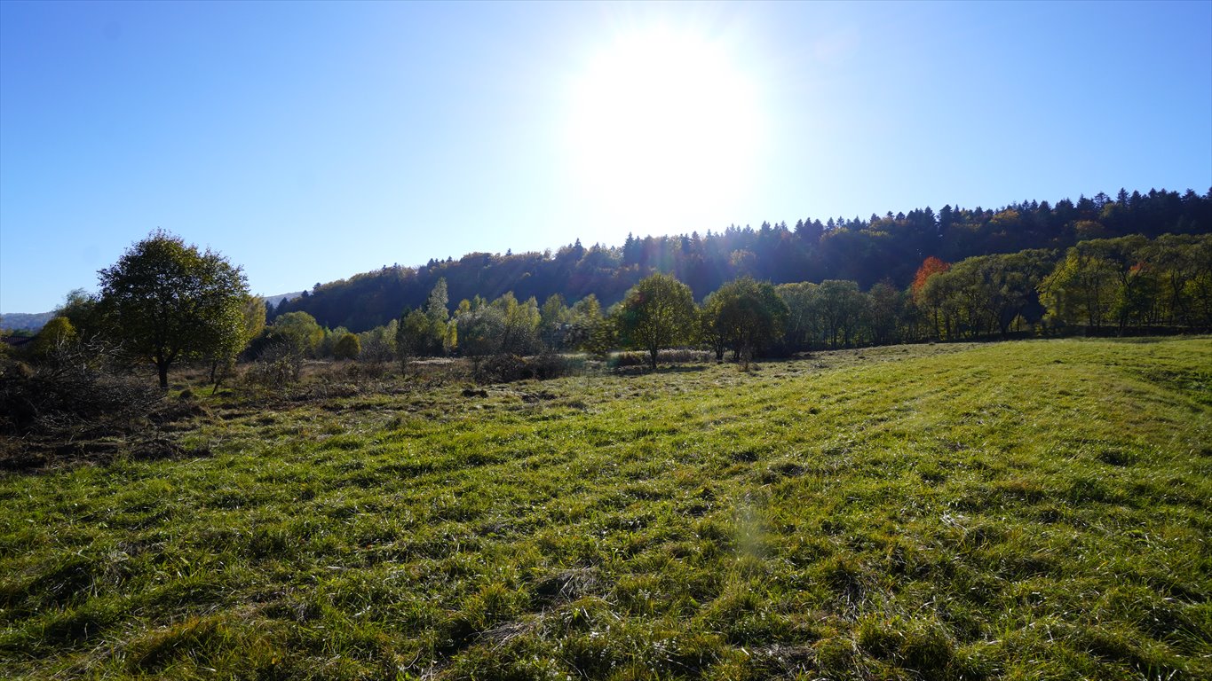 Działka budowlana na sprzedaż Klimkówka  11 300m2 Foto 2