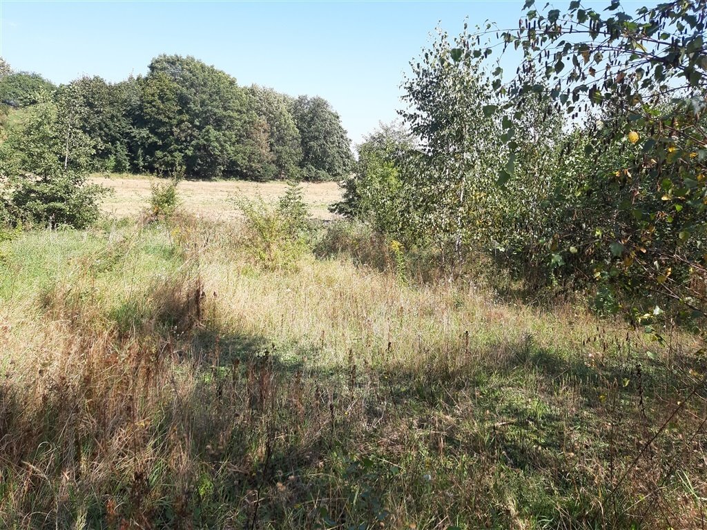 Działki w Starych Bogaczowicach z dostępem do mediów i lasem Stare Bogaczowice  1 500m2 Foto 1