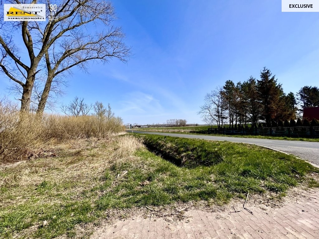 Działka 1343 m² z uzbrojeniem (prąd, kanalizacja) w Trzebuszu Trzebusz  1 343m2 Foto 1