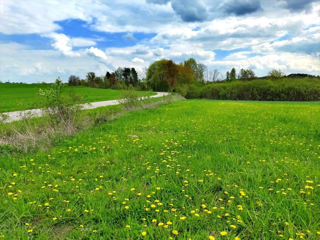 Działka rolna na sprzedaż Jeziorko, Jeziorko  3 018m2 Foto 12