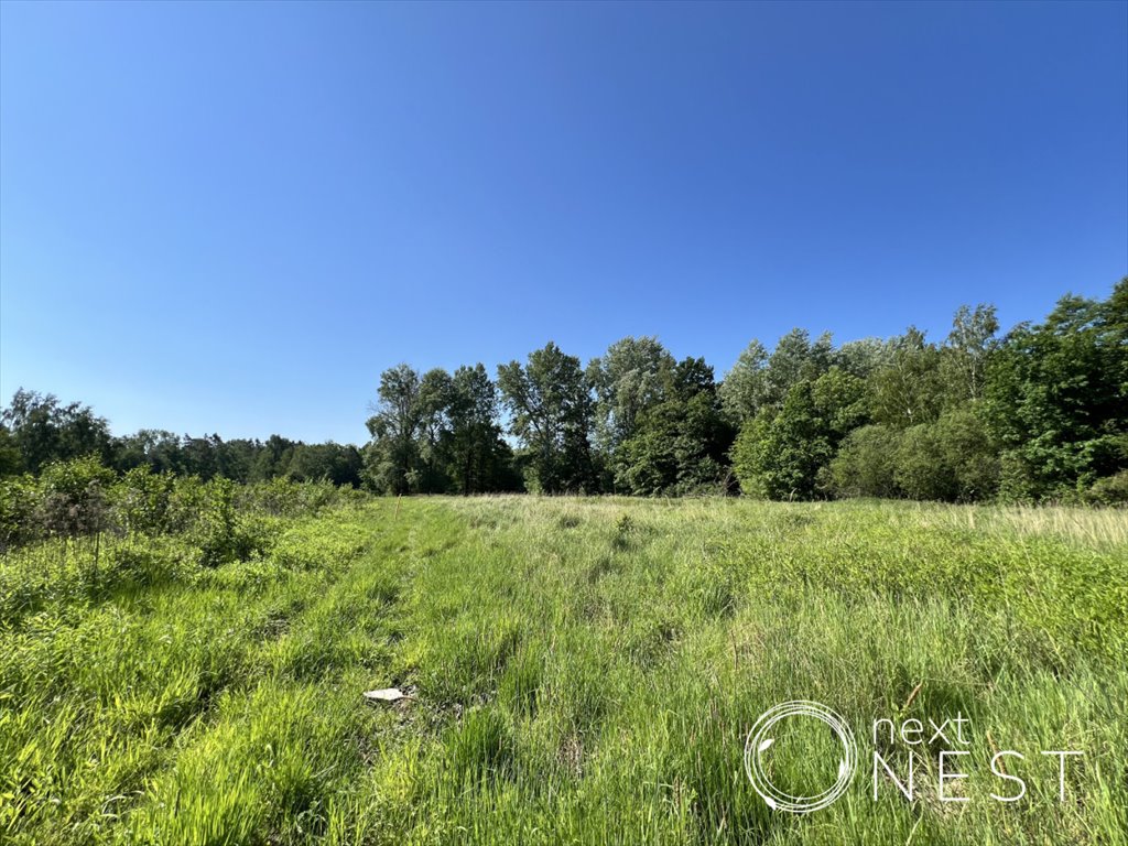 Działka budowlana na sprzedaż Chojnów, Partyzantów  1 834m2 Foto 6