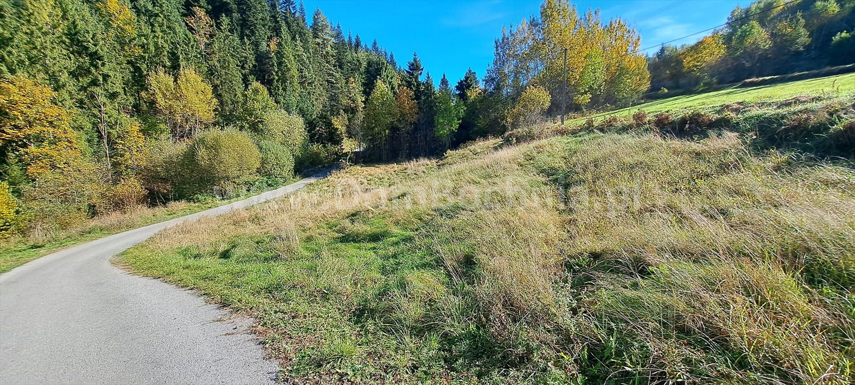 Działka budowlana na sprzedaż Kasina Wielka  1 111m2 Foto 3