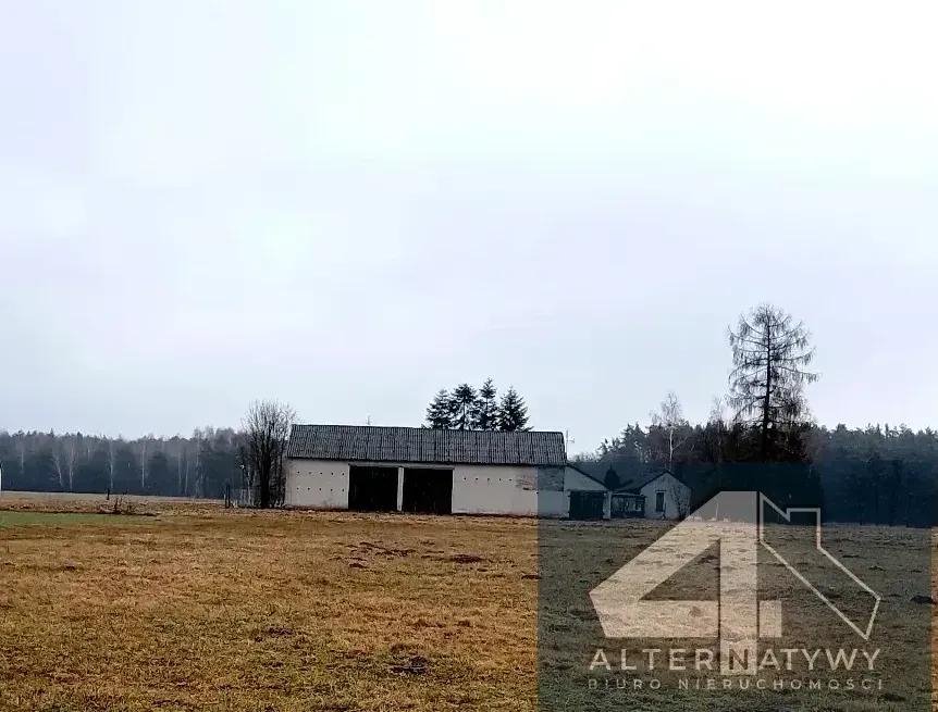 Działka rolna na sprzedaż Włodzimierz, Włodzimierz 11  90 000m2 Foto 1