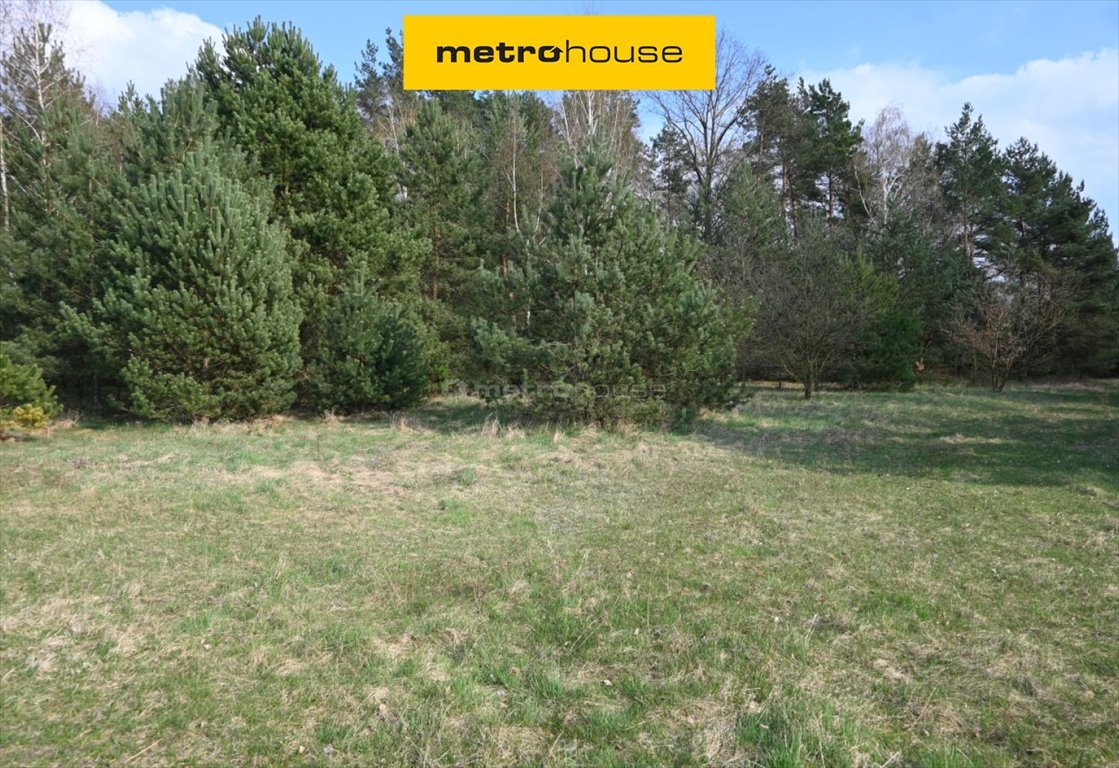 Sprzedam dużą działkę 9 797 m² z lasem i widokiem na pola Stary Adamów, Promyka  9 797m2 Foto 1