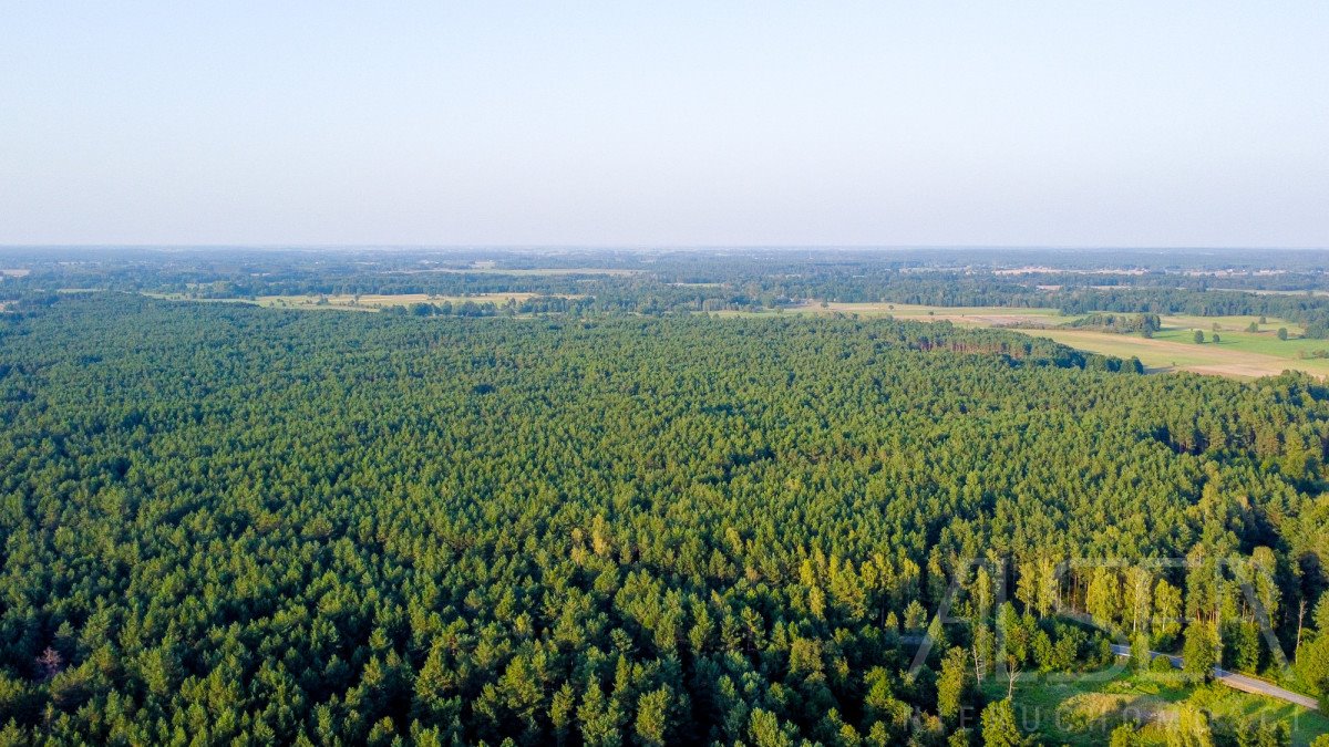 Działka inwestycyjna na sprzedaż Grądy Szlacheckie, Julianka  80 600m2 Foto 4