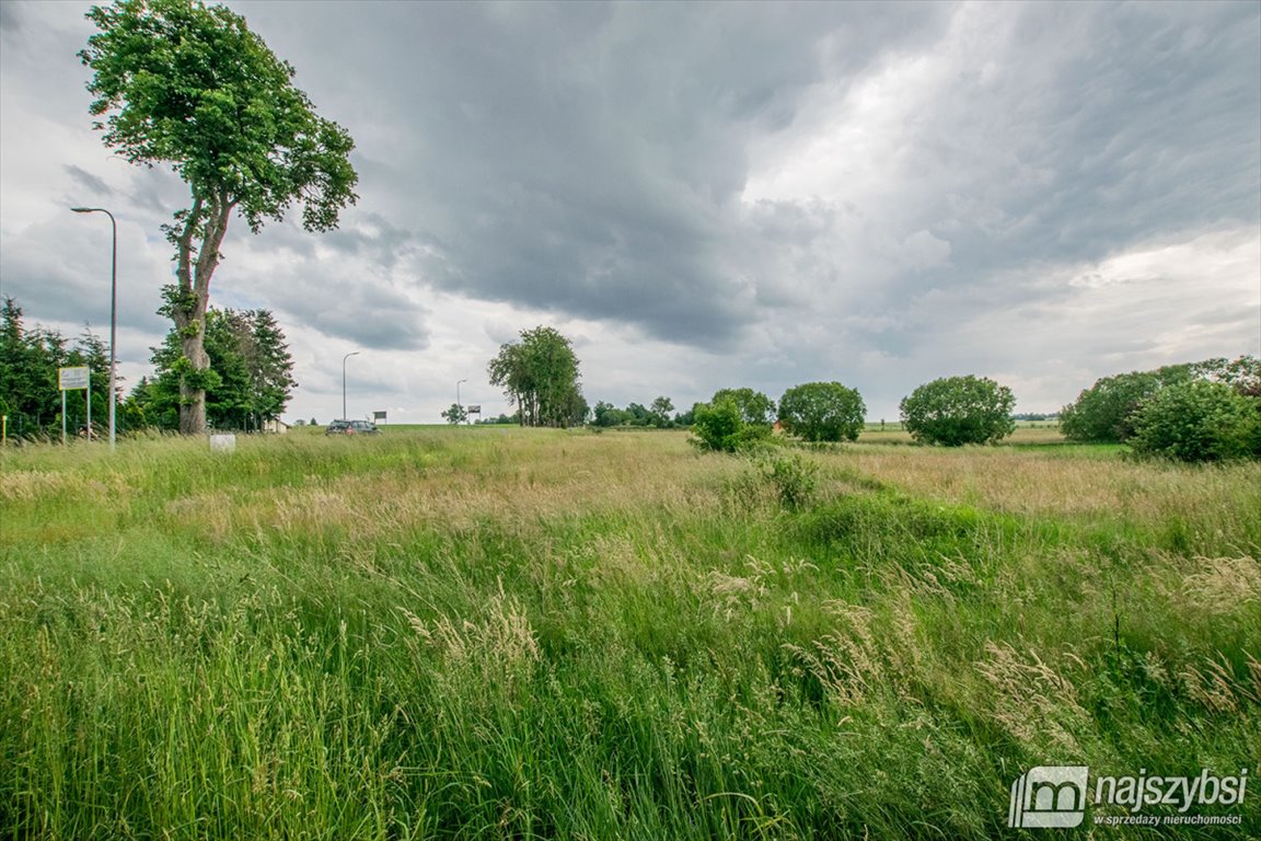 Działka rolna na sprzedaż Barwice, miasto  3 004m2 Foto 8