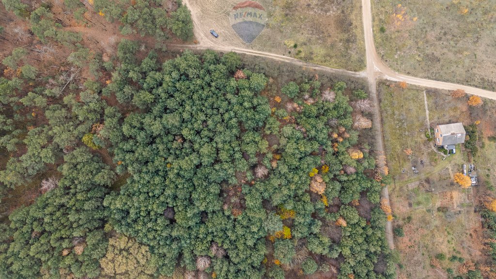 Działka budowlana na sprzedaż Siestrzeń, Nad Lasem  2 000m2 Foto 3