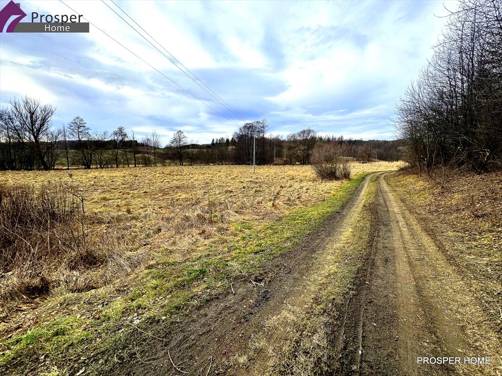 Działka inna na sprzedaż Hadle Kańczuckie  5 100m2 Foto 1