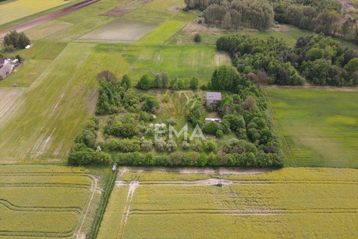 Działka rolna na sprzedaż Zwierzyniec Pierwszy  10 357m2 Foto 5