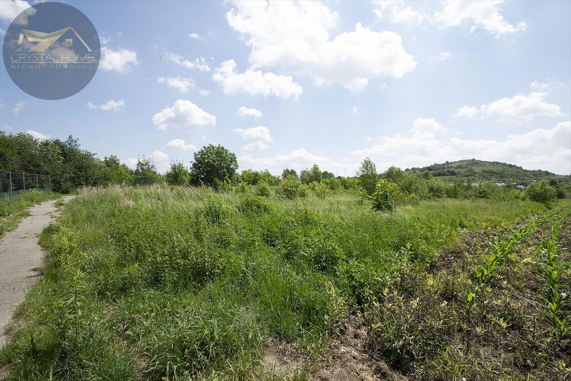 Działka rolna na sprzedaż Bielawa  6 016m2 Foto 6