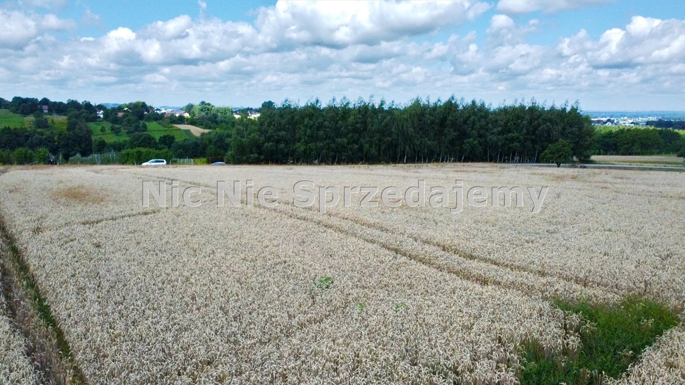 Działka budowlana na sprzedaż Dębno, Sufczyn, Szkolna  2 400m2 Foto 4