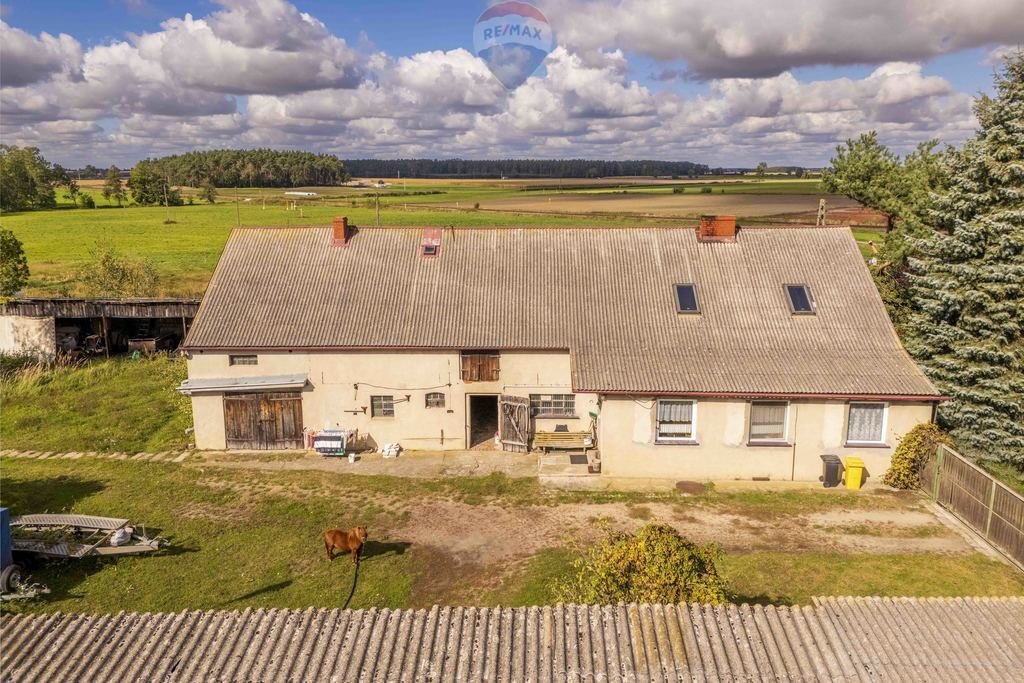 Działka budowlana na sprzedaż Rębiechów  107 200m2 Foto 10