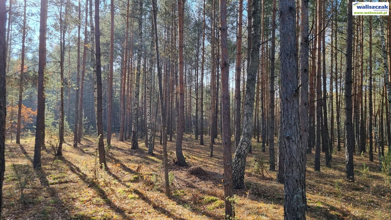 Działka rolna na sprzedaż Ostrów  3 021m2 Foto 4